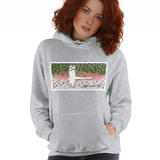 Rainbow Trout, Hooded Sweatshirt - High on the fly Apparel